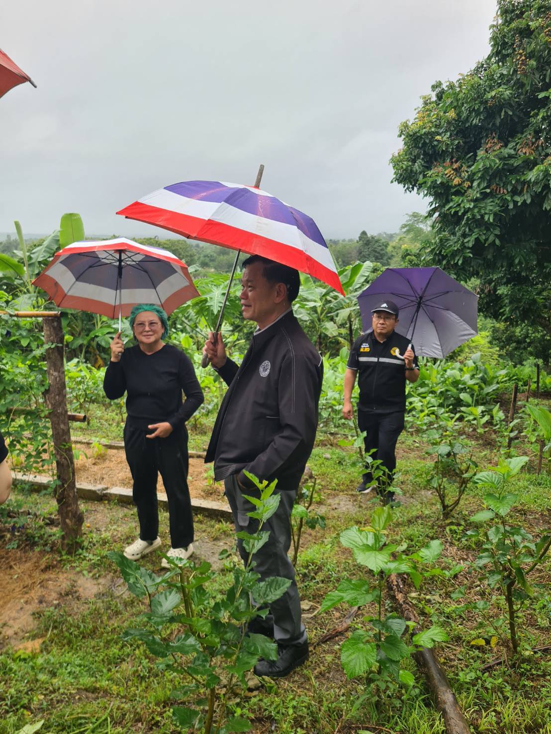 title - หัวหน้าผู้ตรวจราชการ ส.ป.ก. ประชุมติดตามผลการดำเนินงานตามแผนการตรวจราชการของ ส.ป.ก. ประจำปีงบประมาณ พ.ศ. 2569 รอบที่ 2 จังหวัดน่าน